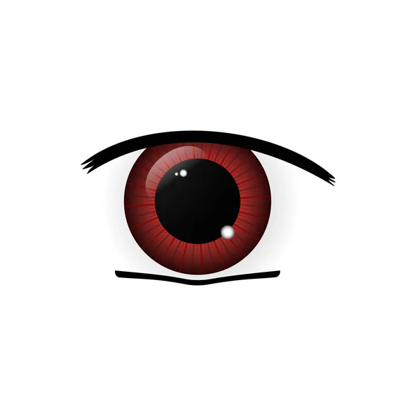 Human eyes closeup — Stock Photo, Image