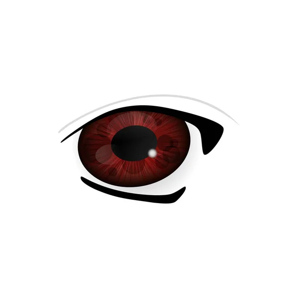 Anime Eyes Human Eyes Closeup Beautiful Big Cartoon Eyes Stock  Illustration  Illustration of looking isolated 194713140