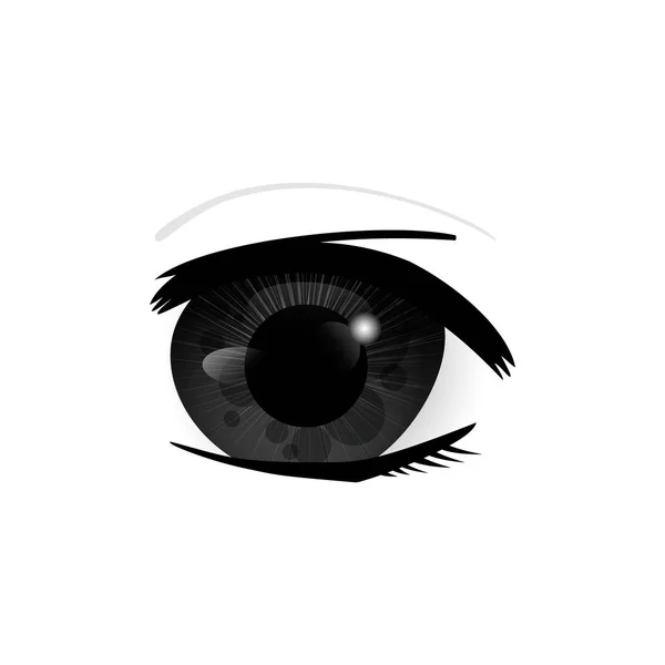 Human eyes closeup — Stock Vector