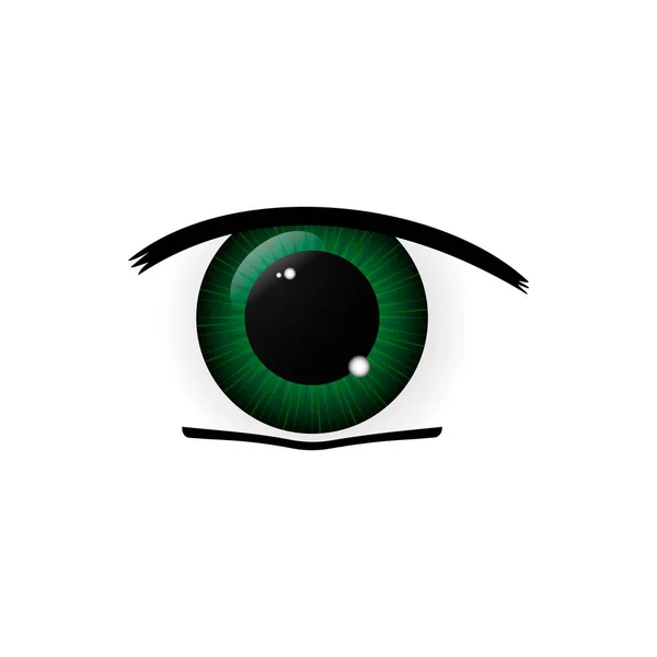 Ojos humanos de cerca — Vector de stock