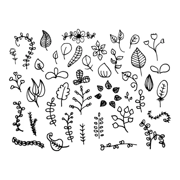 Набор рисованных вручную растений — стоковое фото