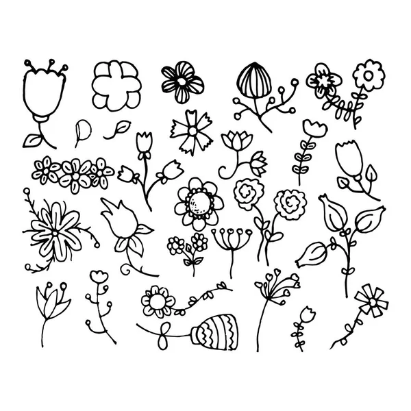 Набор рисованных вручную растений — стоковый вектор