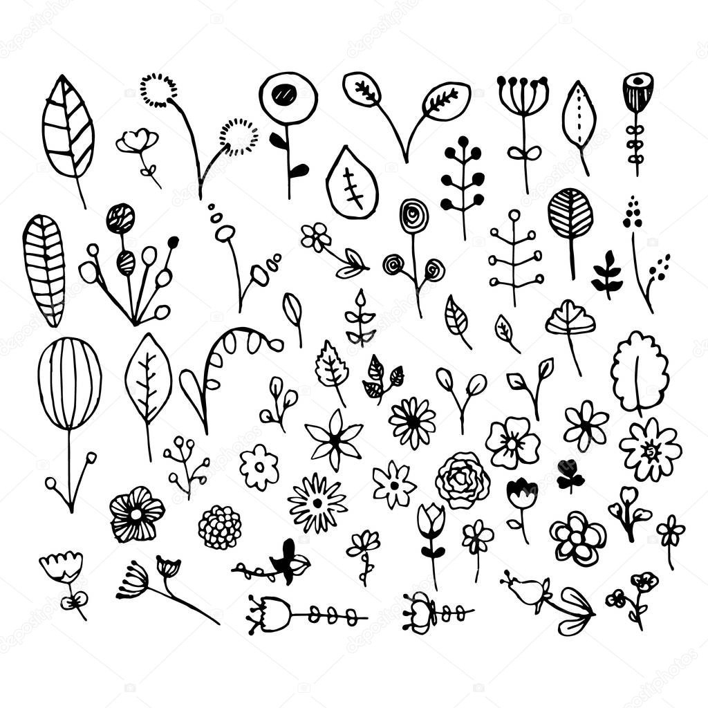 A set of hand-drawn plants