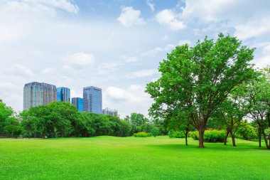 Şehir parkları, çimenler