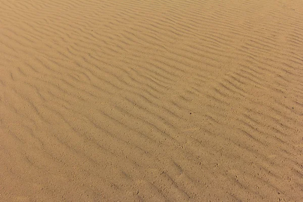 Sand in der Wüste — Stockfoto