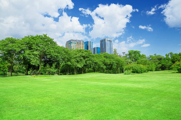Green grass field in big city park
