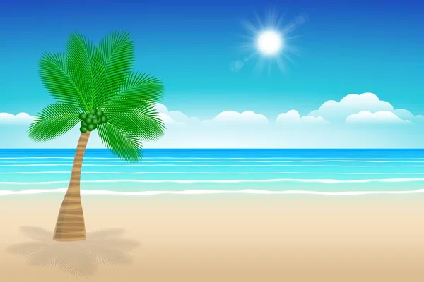 Tle morze piasku i kokosowego drzewa. — Wektor stockowy