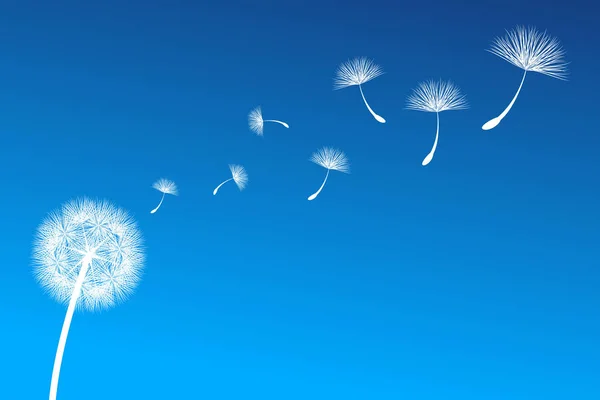 Dandelion on a wind loses the integrity — Stock Vector