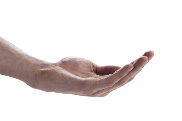 Кисть, жест рукой — стоковое фото