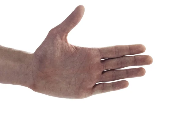 Borste, hand gest — Stockfoto