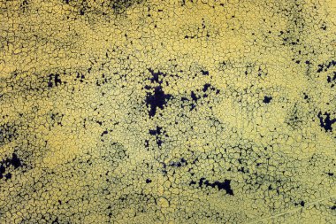 doku eski boya eski püskü ile