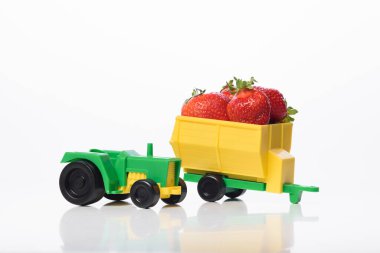 Bahçeden organik çilek teslimatı. Üreticisinden taze çilek. Taze organik çilek teslimatı zamanında..