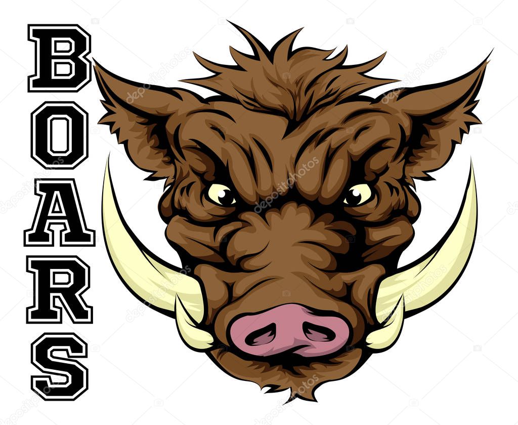 An illustration of a boar sports mascot head with the word boars