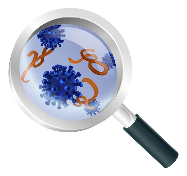 Magnifying Glass Bacteria Virus Concept — Stock Vector