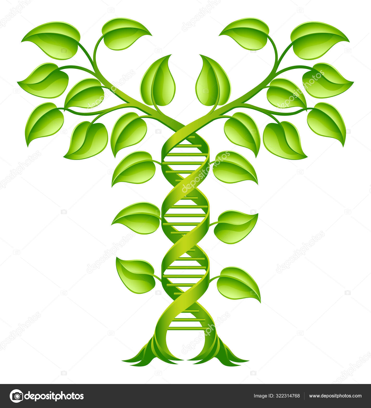 Conceito de hélice dupla de planta de DNA Vetor de ©Krisdog 322314768, image size:1544x1700