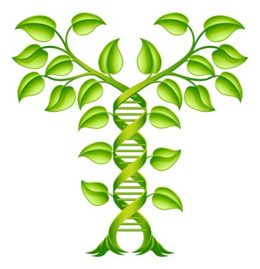 Çift sarmallı DNA Bitkisi Konsepti