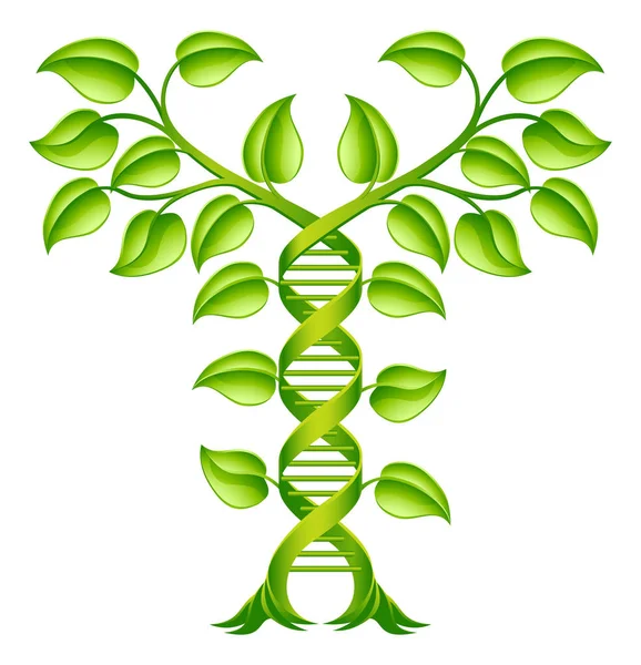 DNA Plant Double Helix Concept — Stock Vector