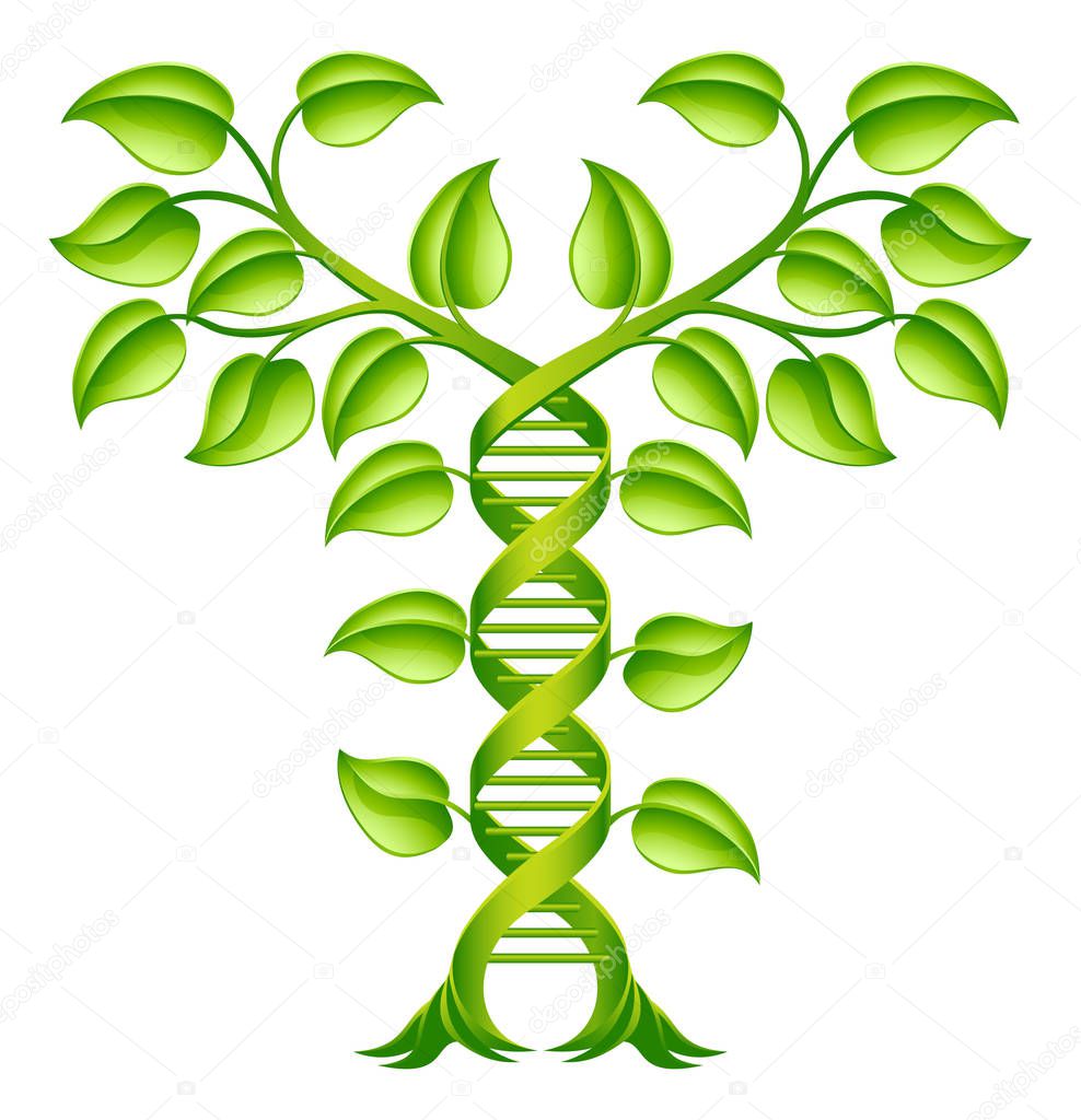 DNA Plant Double Helix Concept, can refer to alternative medicine, crop gene modification or other healthcare or medical theme.
