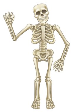 iskelet sallayarak cartoon