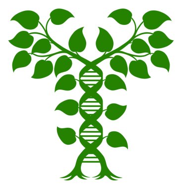 Çift sarmallı DNA Bitkisi Konsepti