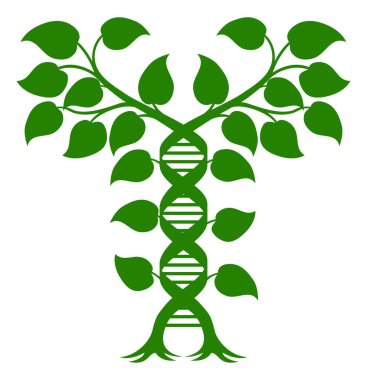 Double Helix DNA Plant Concept clipart