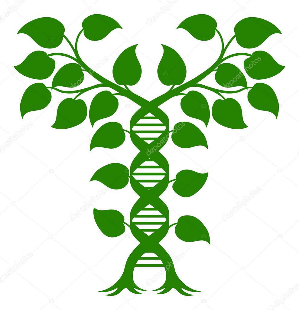DNA Plant Double Helix Concept, can refer to alternative medicine, crop gene modification or other healthcare or medical theme.