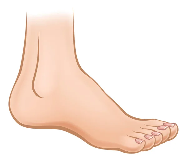 Cartoon Foot Graphic — стоковый вектор