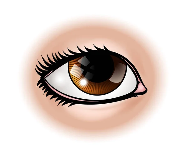 Parte del cuerpo del ojo — Vector de stock