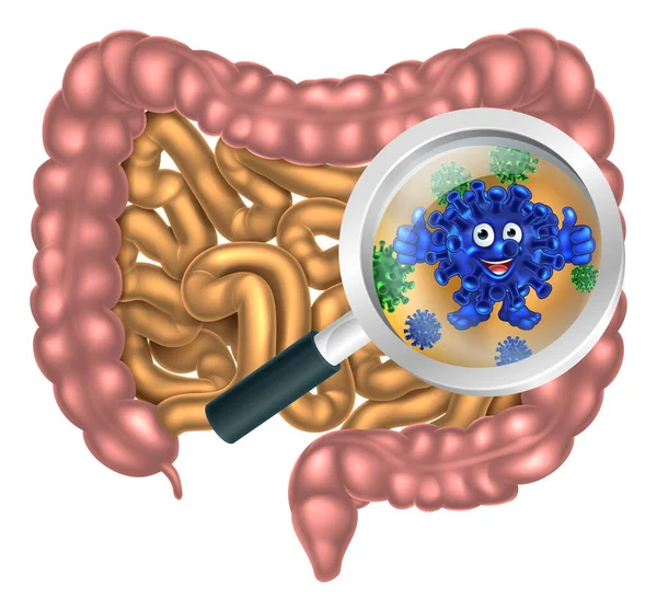 Mascota de bacterias probióticas intestinales amistosas — Vector de stock