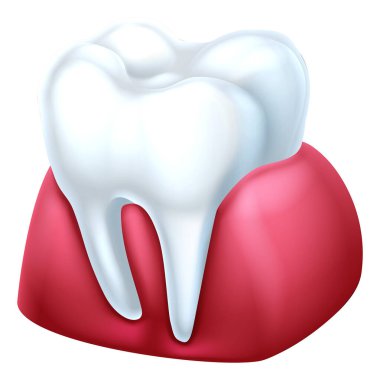 Gum and Tooth clipart