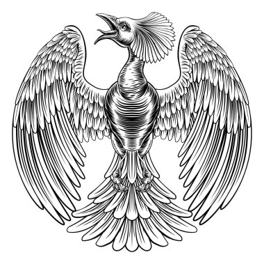 Tavuskuşu Anka kuşu tasarımı