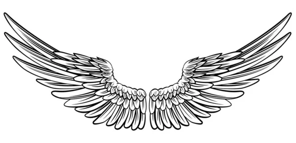 Pair of Spread Wings — Stock Vector