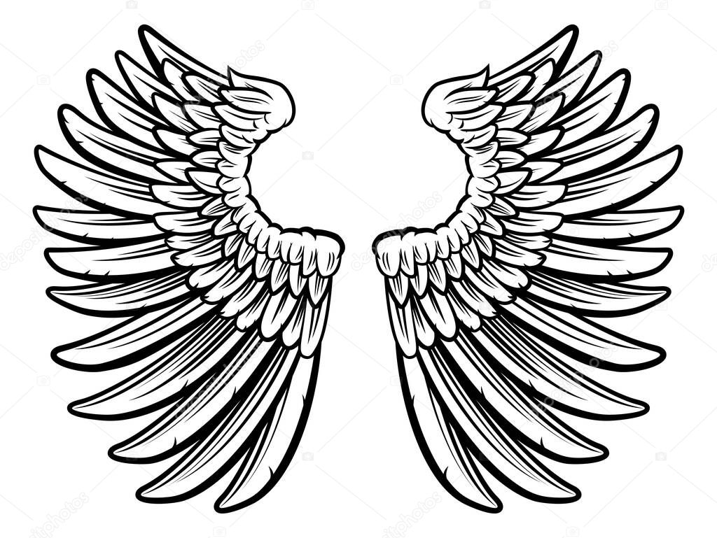 Wings Design Graphic