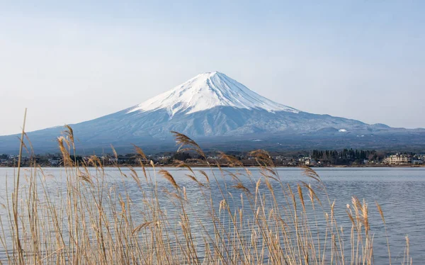 sabah, Fuji Dağı'nın Japonya