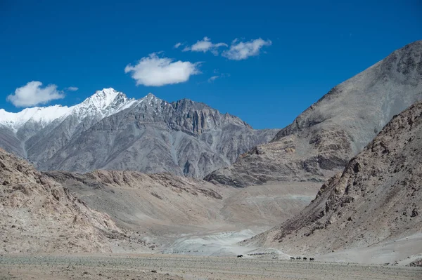 Paisaje de montaña, norte de India — Foto de Stock
