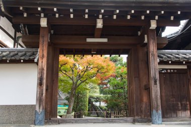 Japon Tapınağı ile renkli Vadisi'nde bulunan sonbahar yaprakları