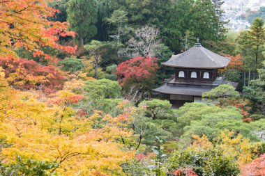 Japon Tapınağı ile renkli Vadisi'nde bulunan sonbahar yaprakları
