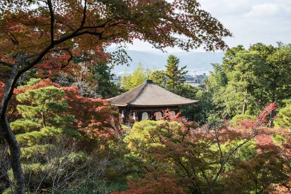 Japanese temple located in valley with colorful leaves in autumn