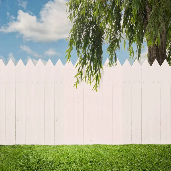 White Fence Back Yard — Stock Photo, Image