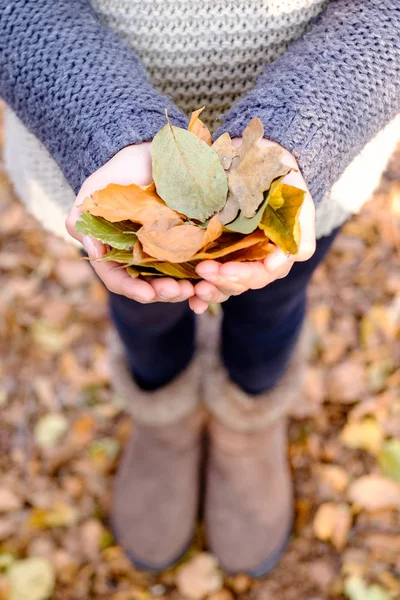 Молодая Девушка Держит Желтые Листья Осенью — стоковое фото