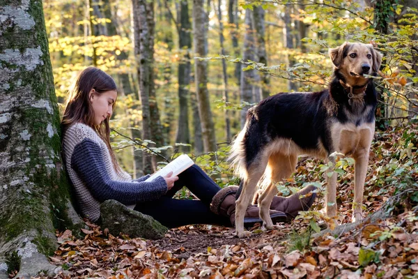 Lykkelig Ung Pige Læser Bog Med Sin Hund Efteråret Skov - Stock-foto