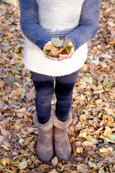 Молодая Девушка Держит Желтые Листья Осенью — стоковое фото