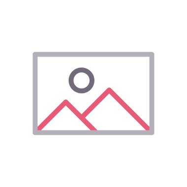 fotoğraf vektörü renk çizgisi simgesi