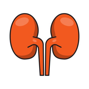 anatomi vektörü düz renk simgesi