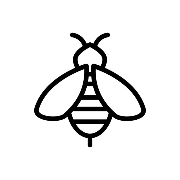 Apitherapy Vector Thin Line Icon — 스톡 벡터
