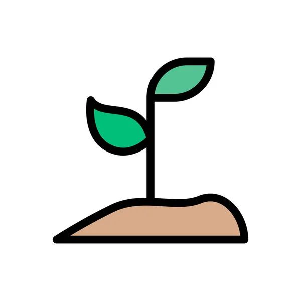 Pflanze Vektor Flache Farbe Symbol — Stockvektor