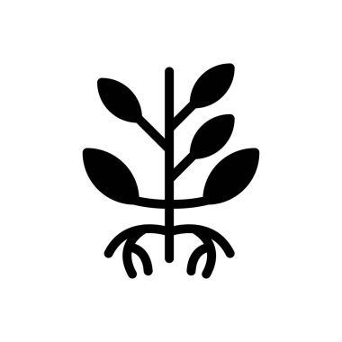 tohum vektör düz simgesi 