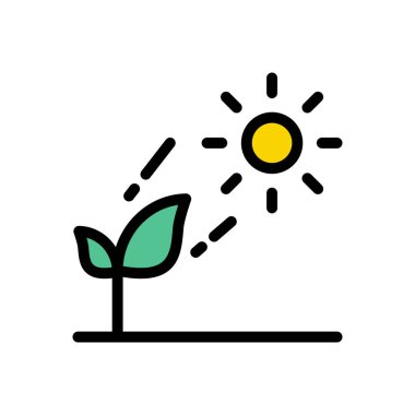 bitki vektörü düz renk simgesi