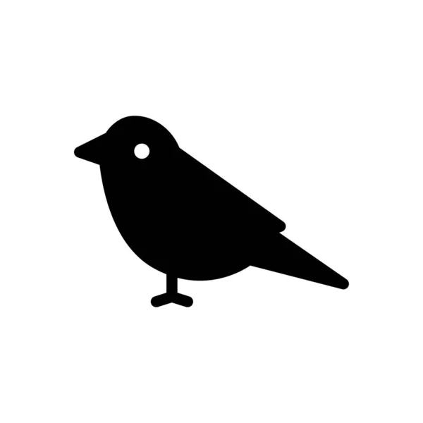 Sparrow Vector Glyph Color Icon — Stock Vector