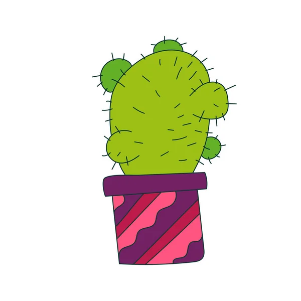Illustration de cactus. Vecteur. Illustration vectorielle des cactus — Image vectorielle
